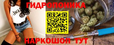 прущие грибы Краснознаменск