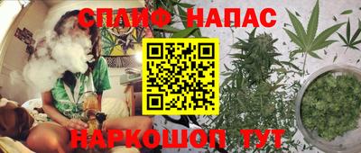 прущие грибы Краснознаменск