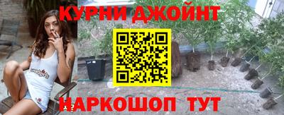 прущие грибы Краснознаменск