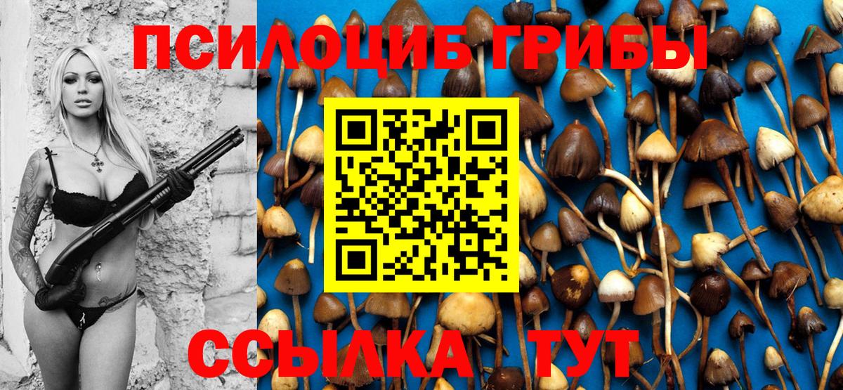 Галлюциногенные грибы Psilocybine cubensis Химки