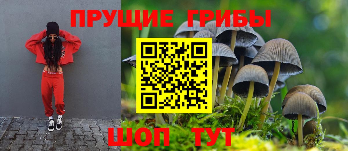 магазин продажи   Галлюциногенные грибы MAGIC MUSHROOMS  Вход с VPN  Псилоцибиновые грибы ЛСД  Химки 